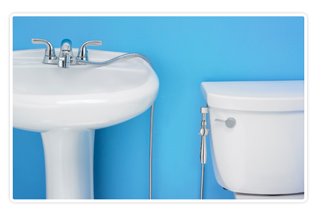 Aquaus Bidet Stainless Steel Faucet Aquaus Bidet Stainless Steel Faucet